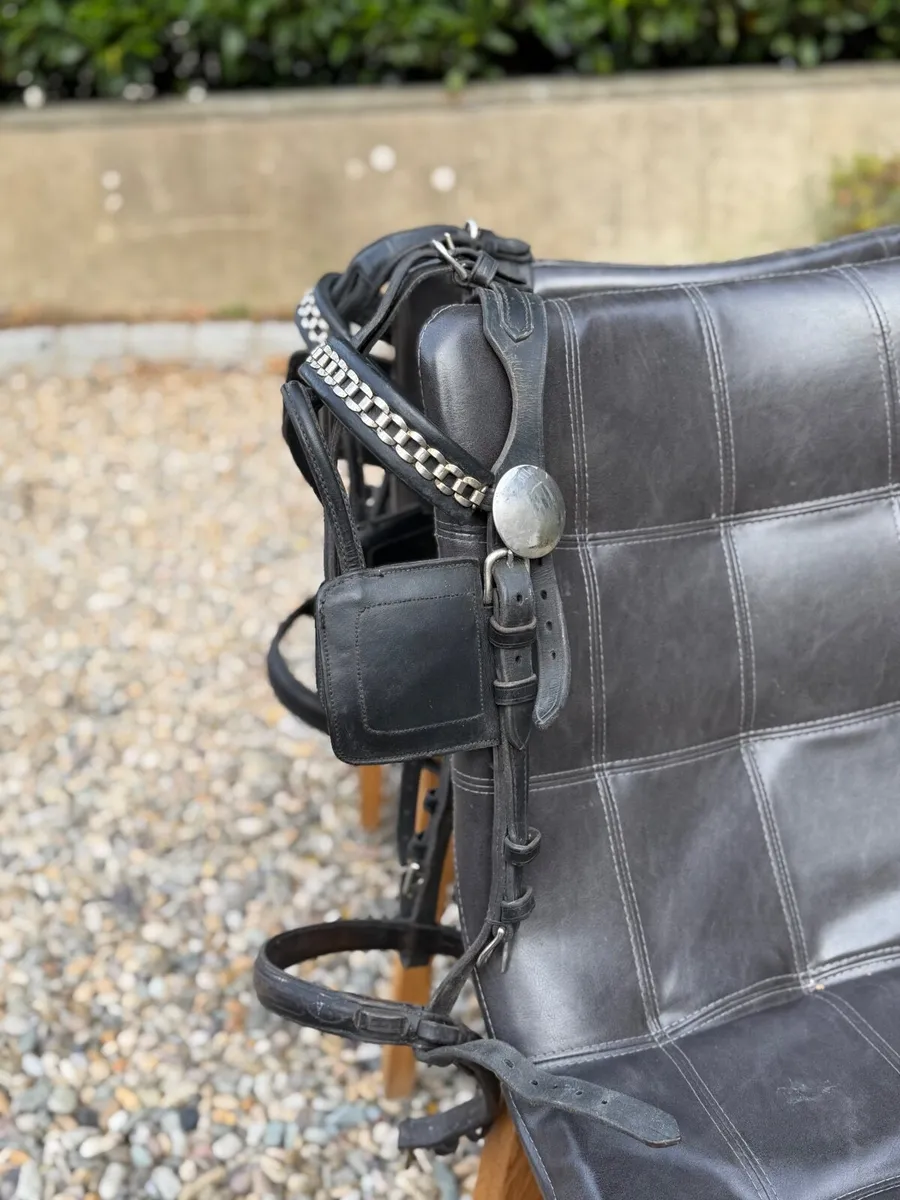 Cob size Harness - Image 4