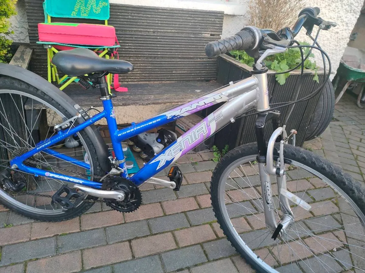 Ladys bike