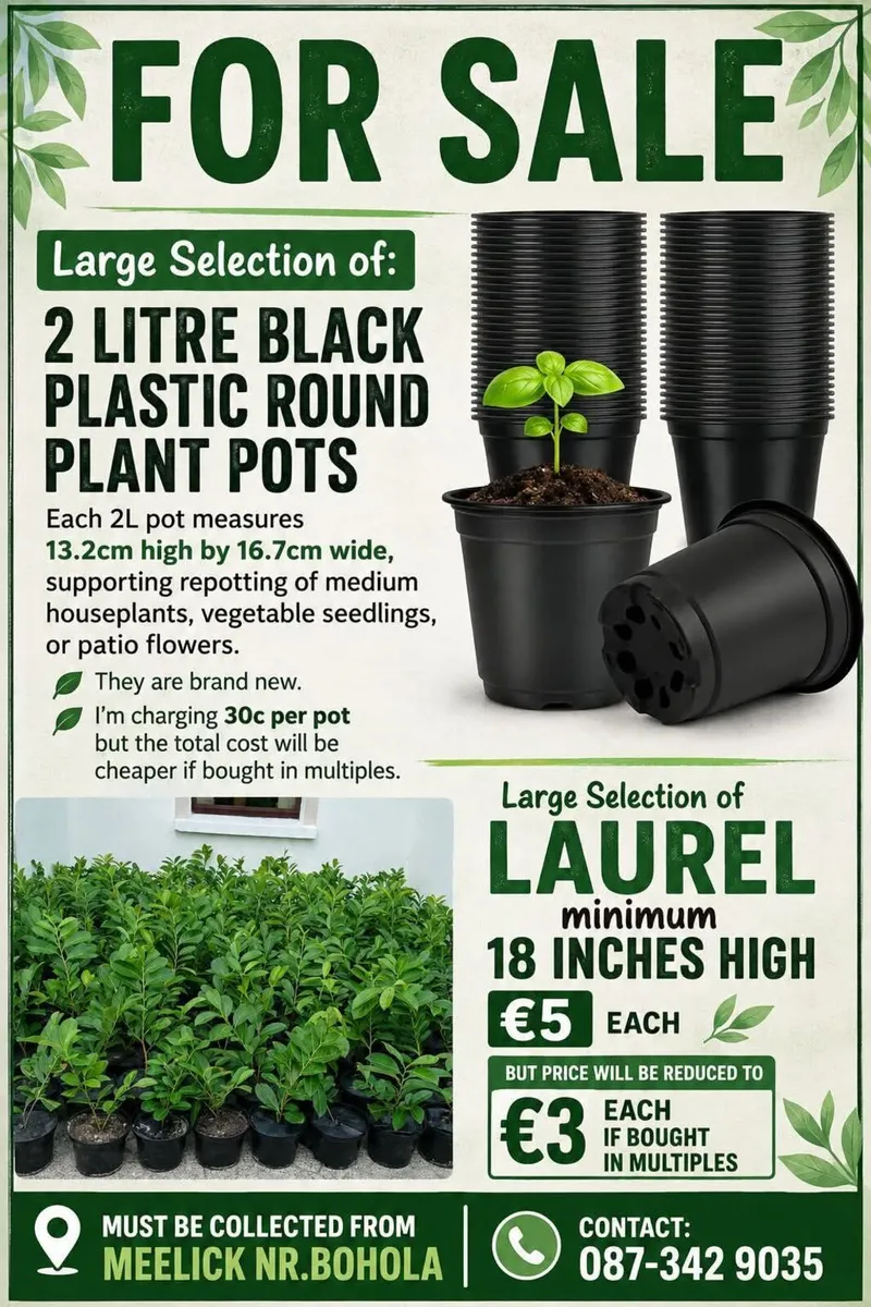 Pots & Laurels - Image 1