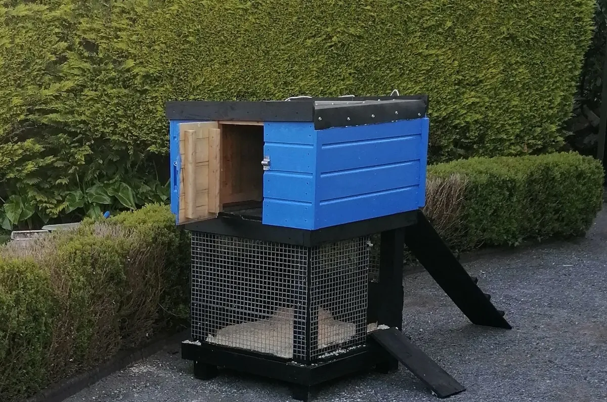 New Hen House -all in one - Image 2
