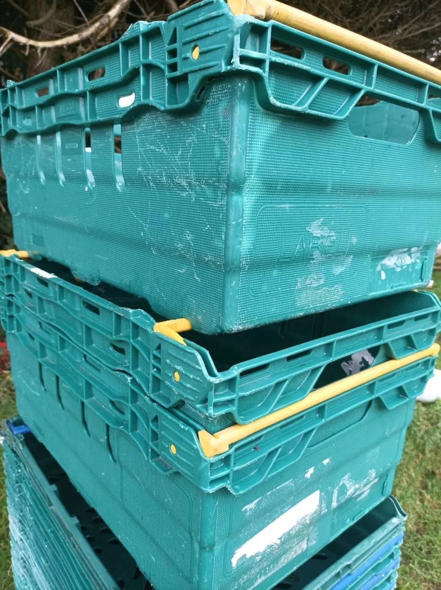 Crates for veg harvest - Image 3