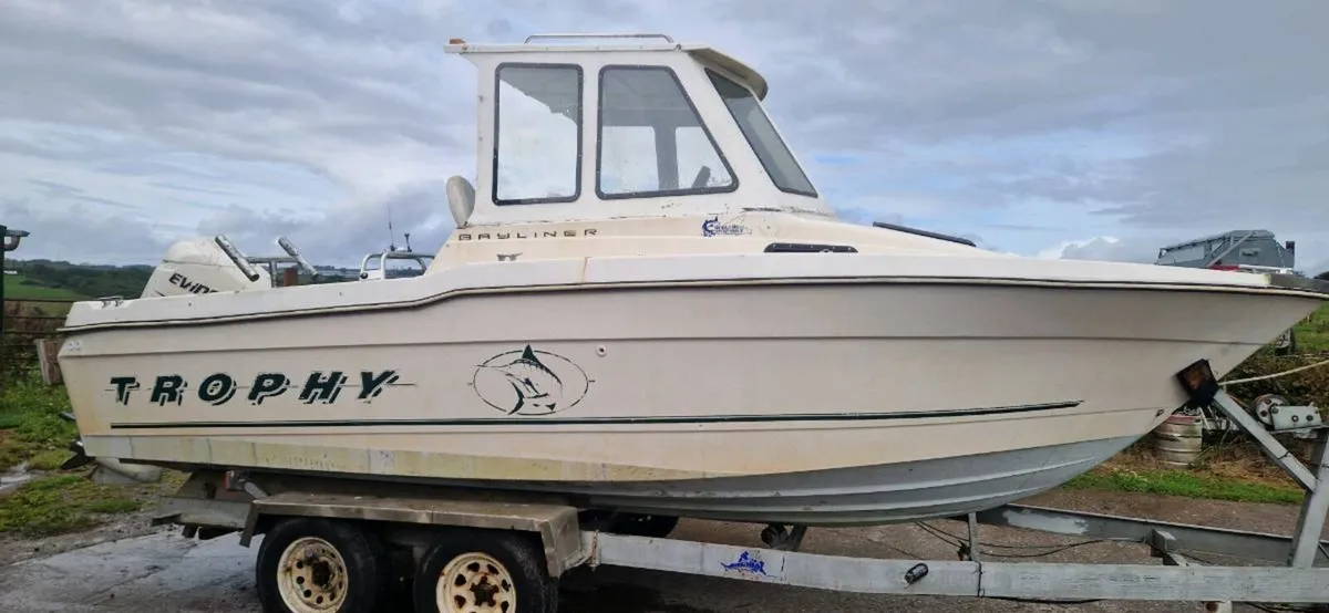 Bayliner trophy - Image 1