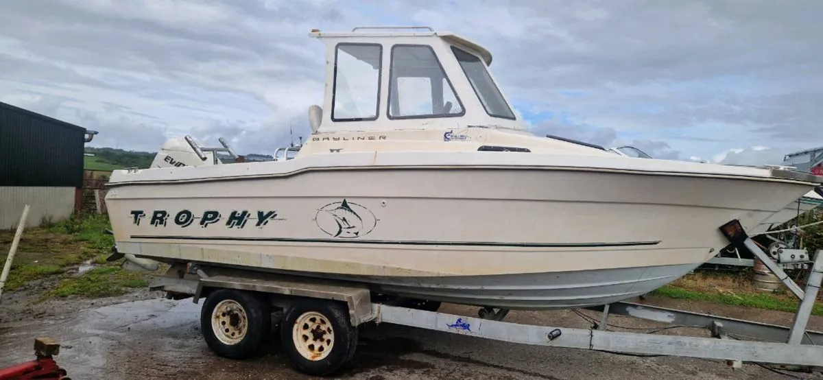 Bayliner trophy - Image 2