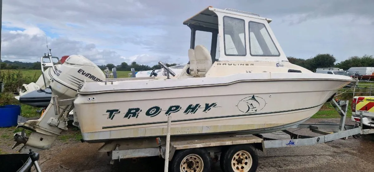 Bayliner trophy - Image 3