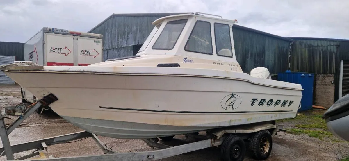 Bayliner trophy - Image 4