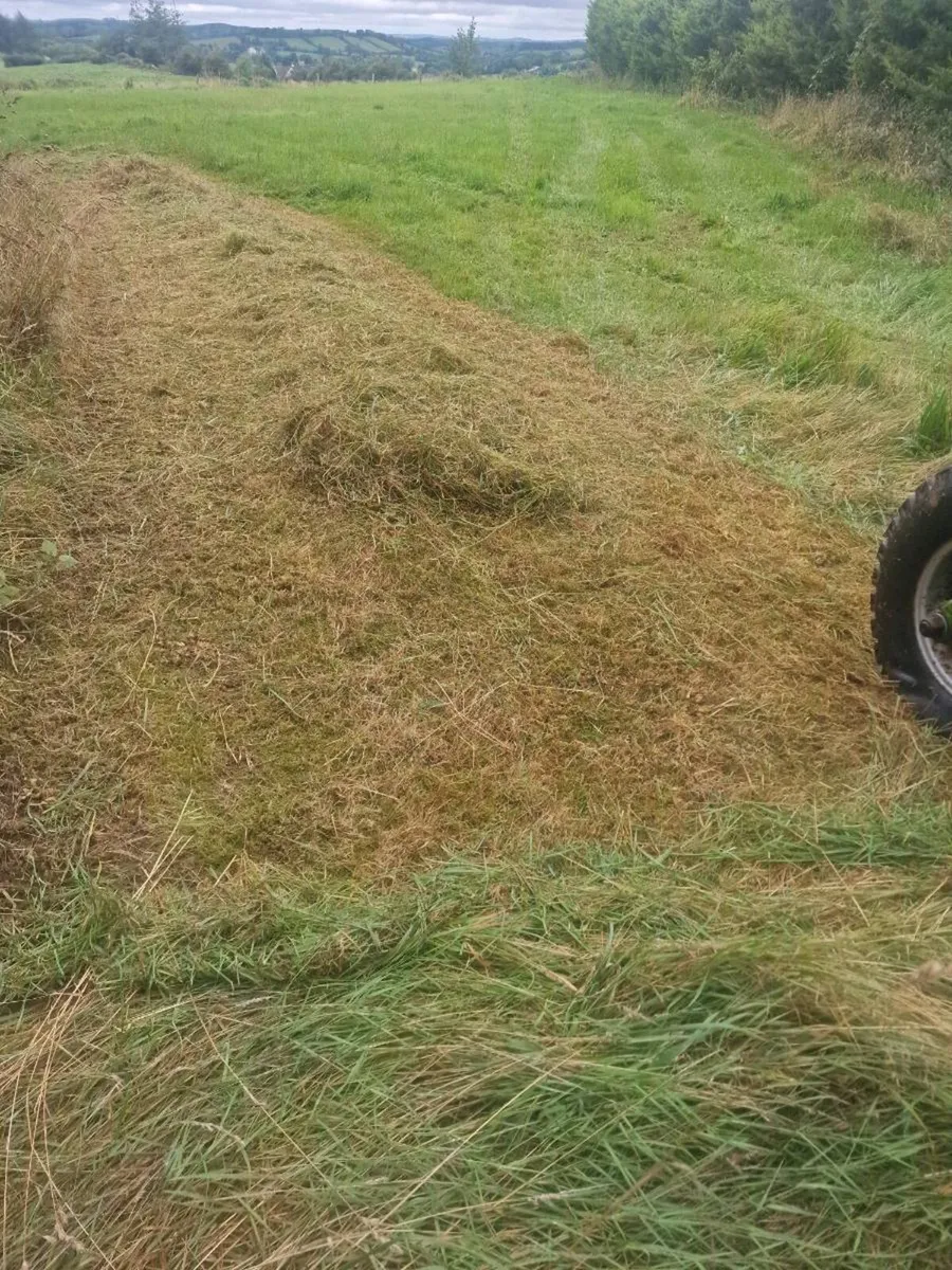 Mower - Image 3