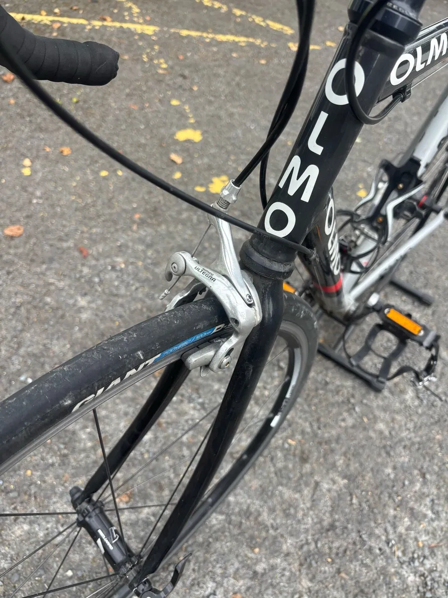 Olmo Impact - Image 3