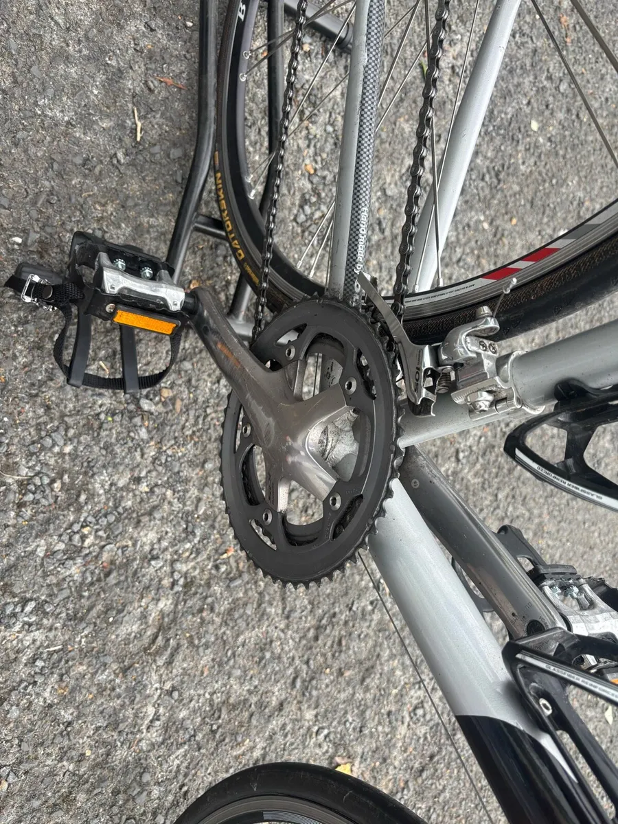 Olmo Impact - Image 4