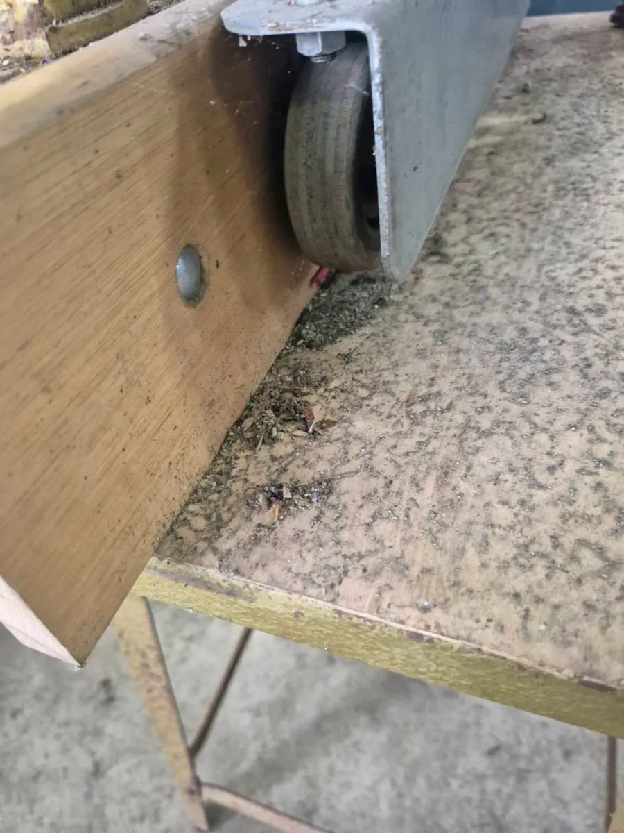 Table router 230v - Image 3