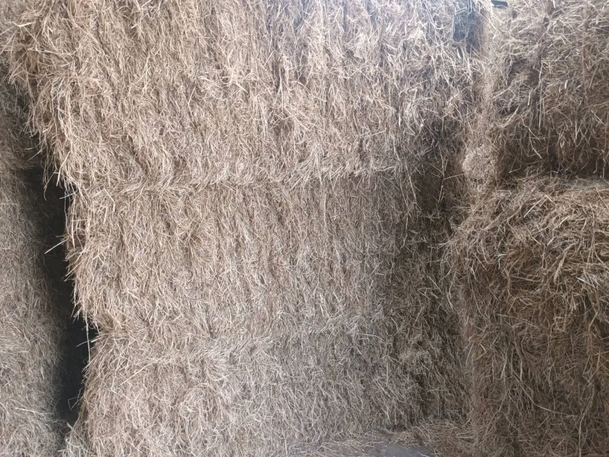 Big square  bales of Hay for sale - Image 2