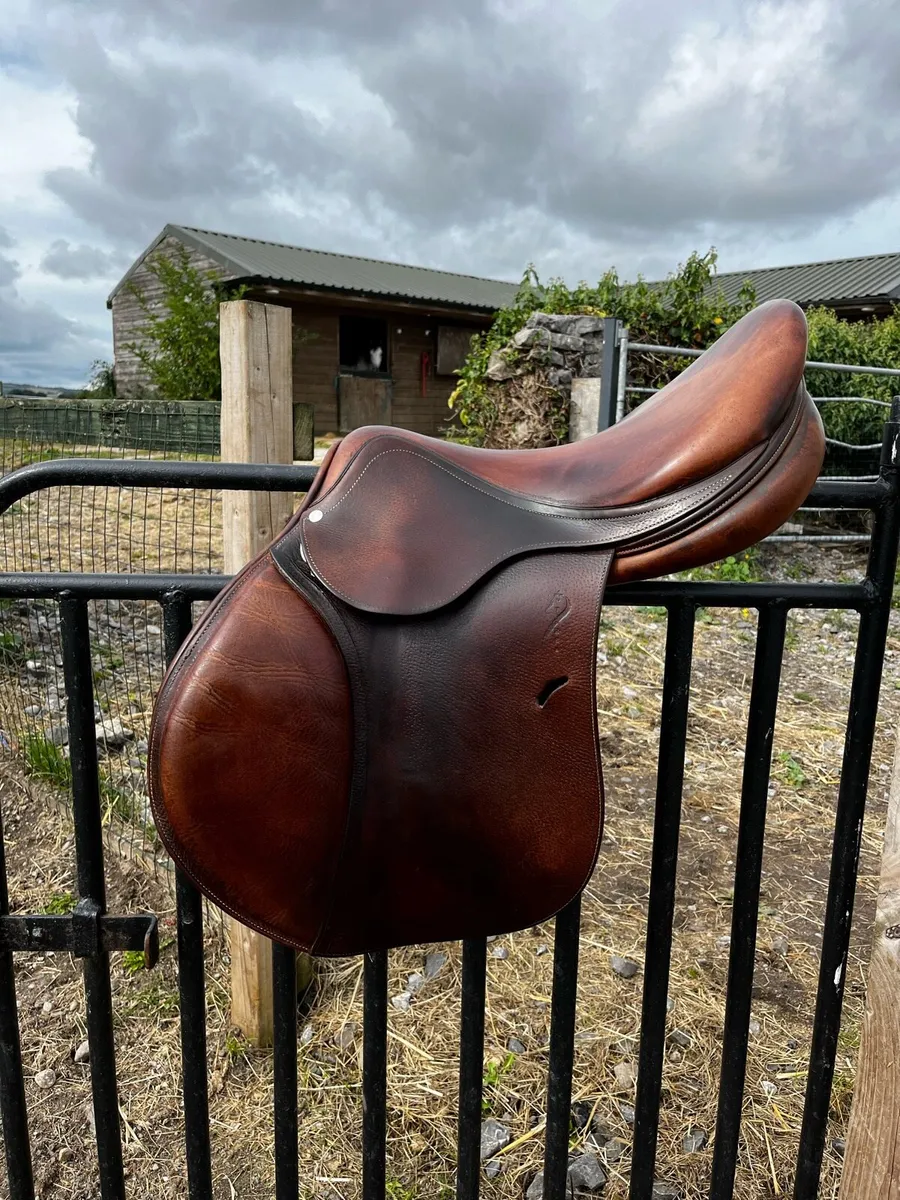 Antares jump saddle 17.5” - Image 1