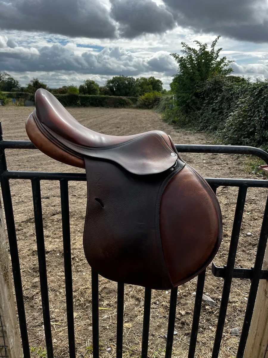 Antares jump saddle 17.5” - Image 2