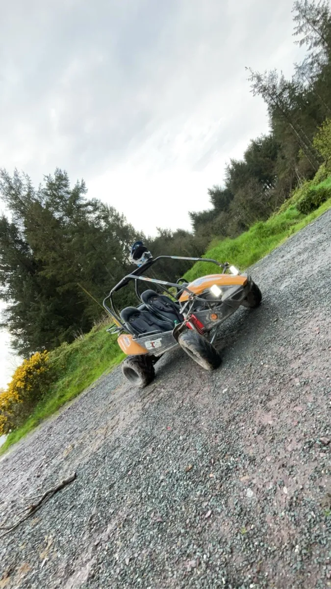 Hammerhead GTS 150 buggy - Image 1