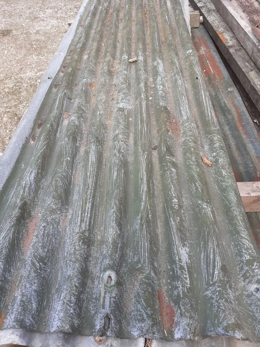 Trusses and sheeting - Image 4