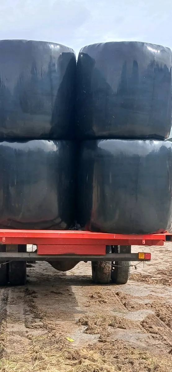 Silage and haylage - Image 1