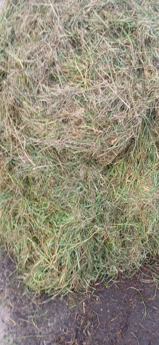 Silage and haylage - Image 2