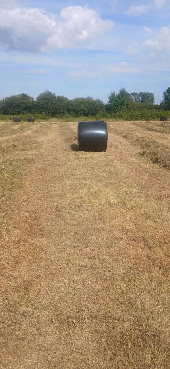 Silage and haylage - Image 3