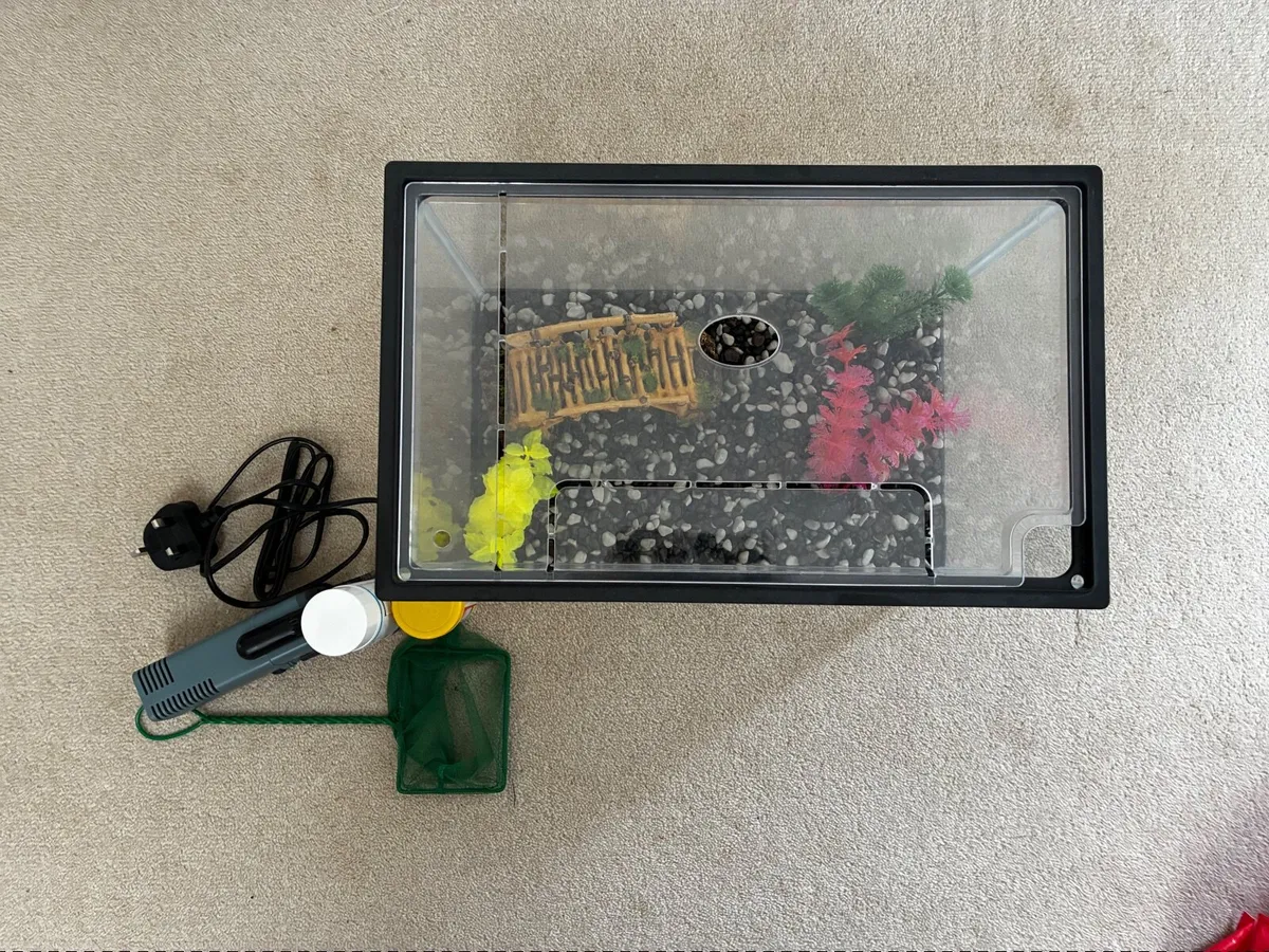 Aquarium / Fish Tank - Image 3