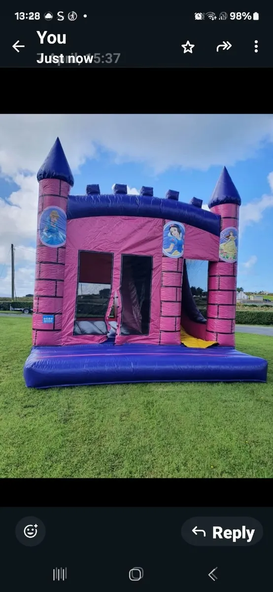 Bouncy Castles, obstacle courses, inflatables - Image 3