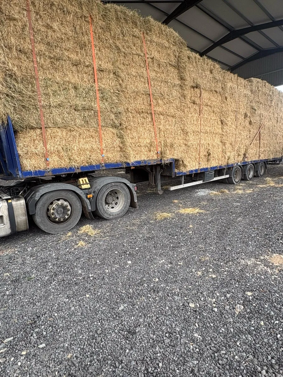 8x4x3 of Irish have available - Image 1