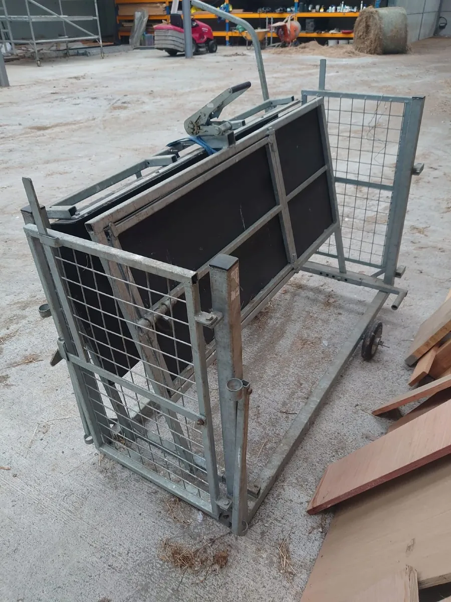 Sheep Turnover Crate - Image 2