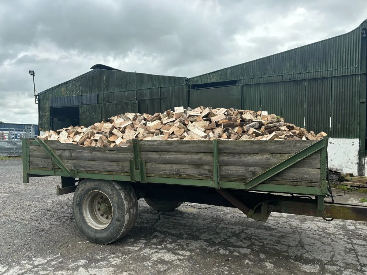 Firewood - Image 4