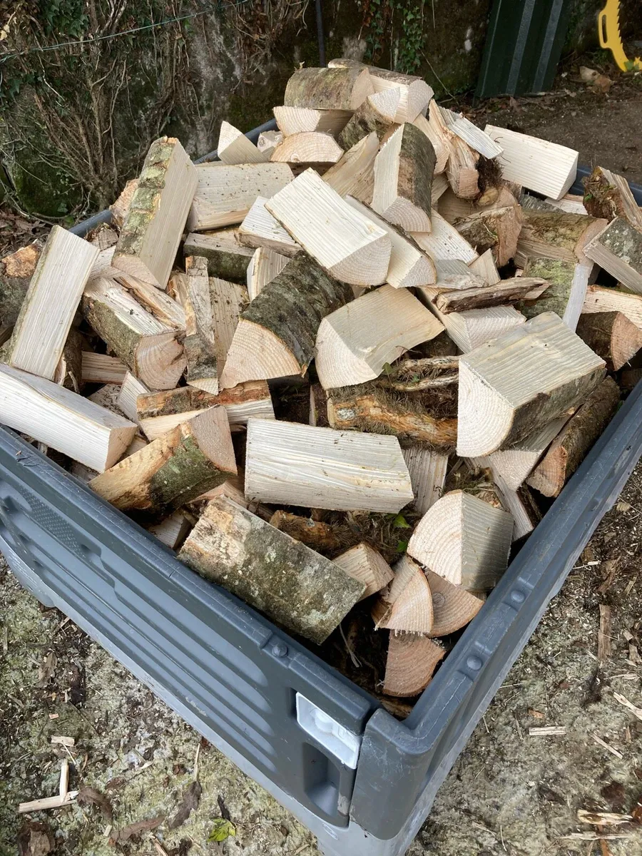 Firewood - Image 2