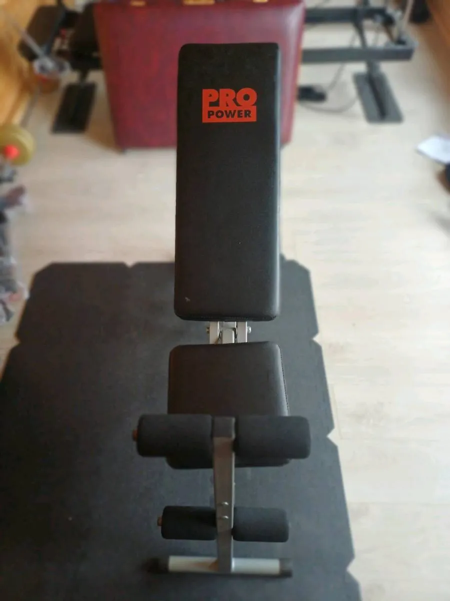 Weights Bench - Image 1