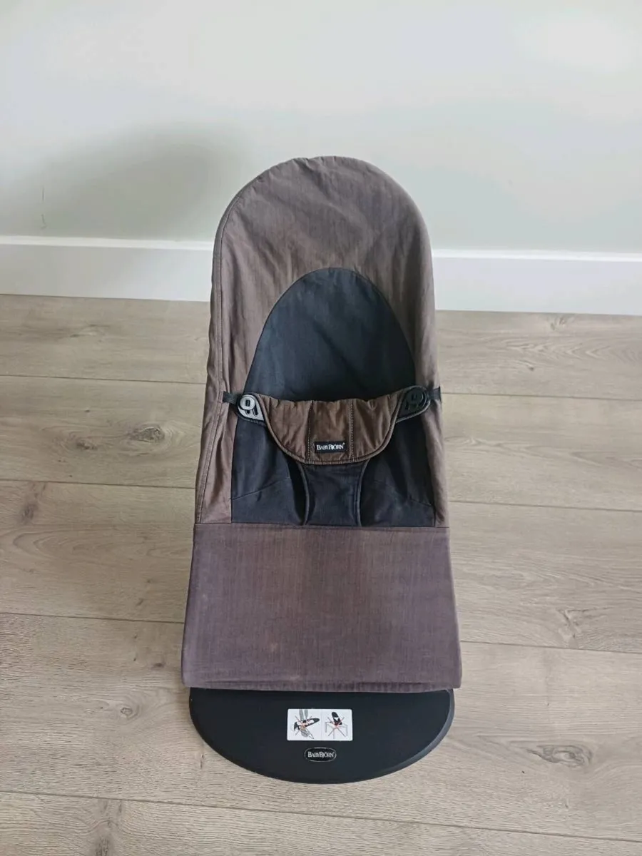 Baby Bjorn Bouncer - Image 1