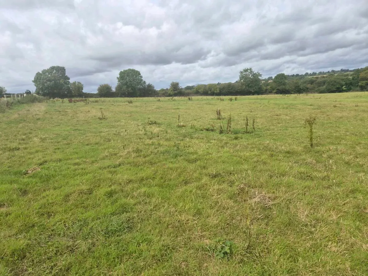 Sites - Image 4