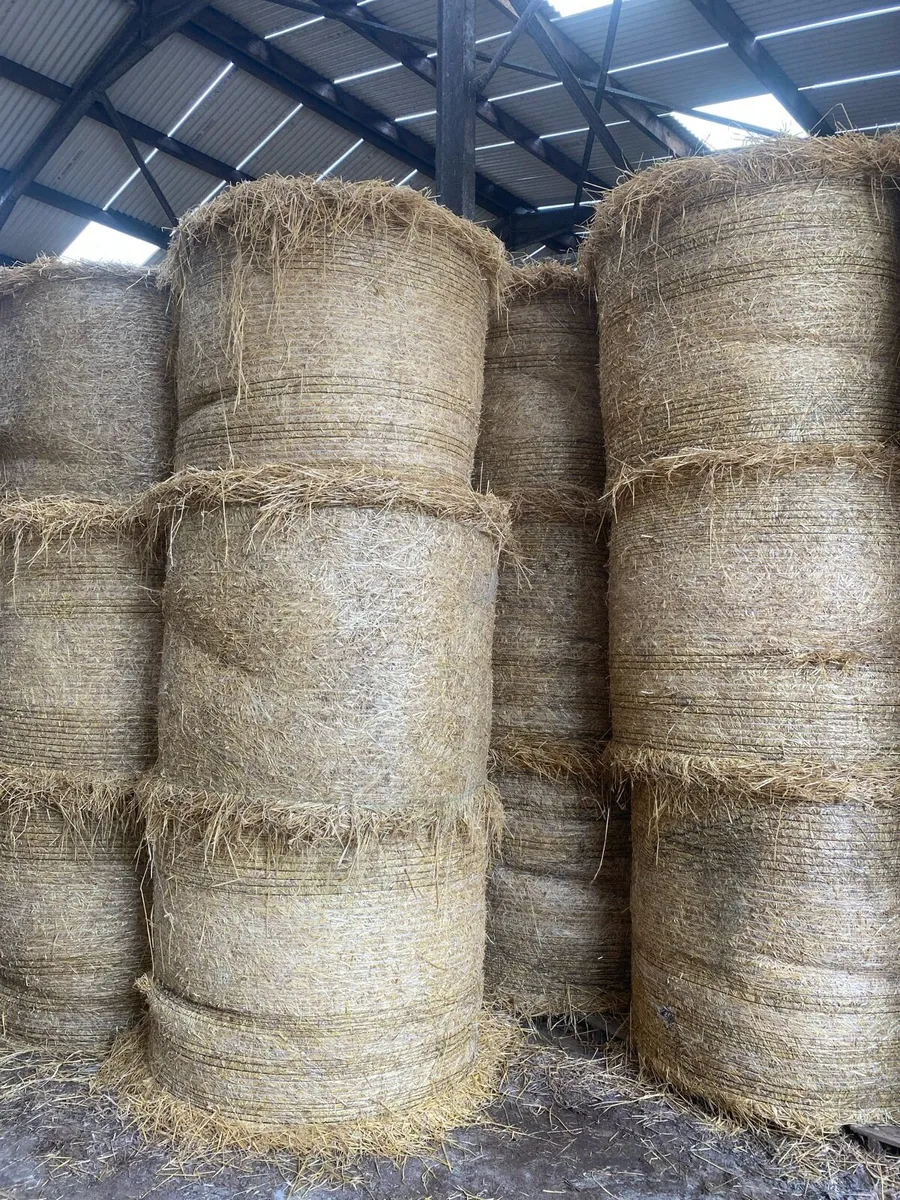 Straw