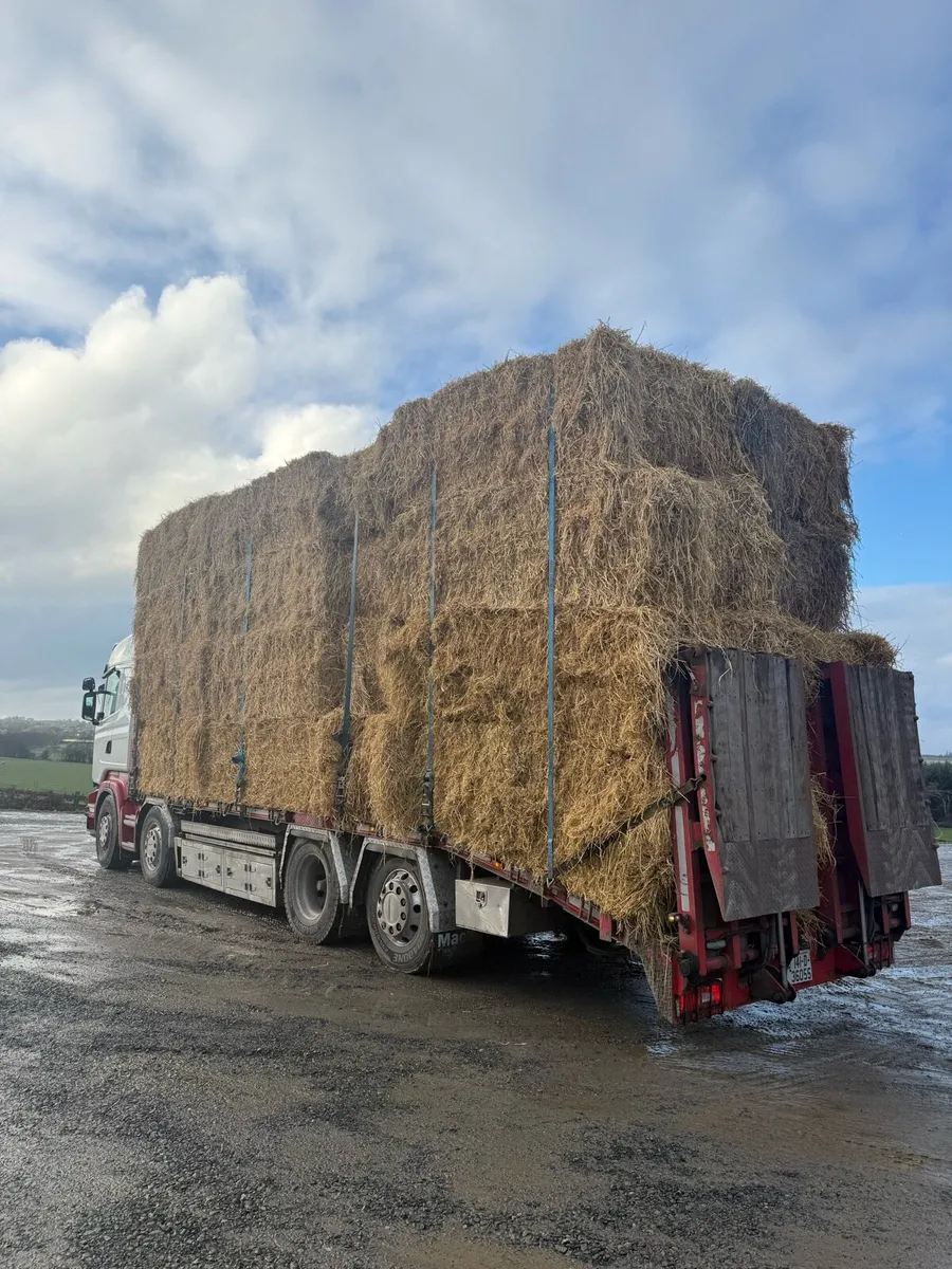 An spideal 8x4x3 straw delivered - Image 2