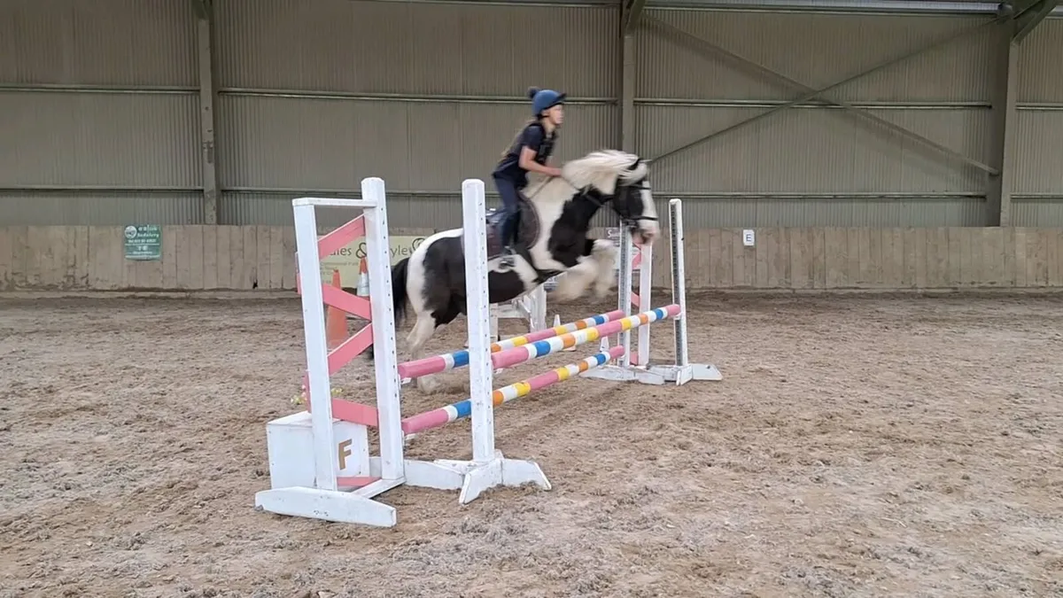 Horsemasters League - Image 3