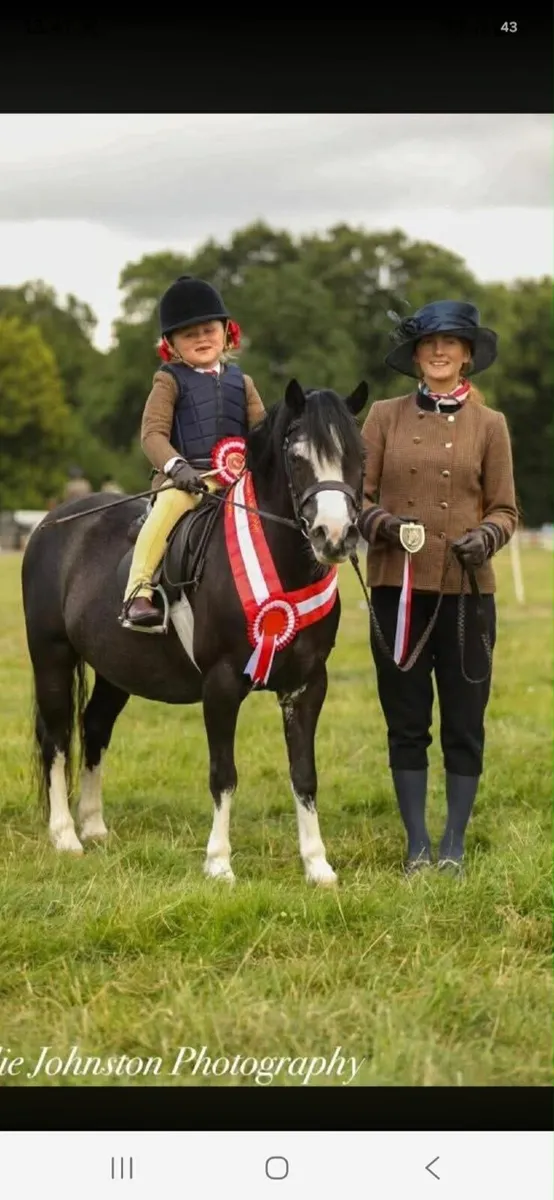 11 2hh 10yro Schoolmistress Section A - Image 1