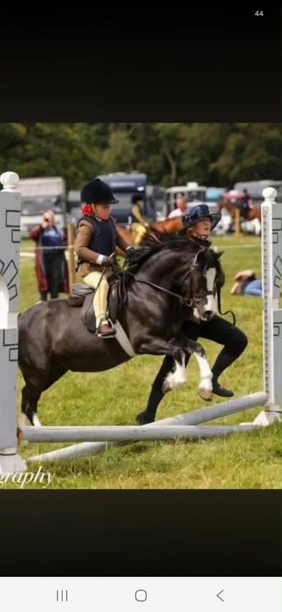 11 2hh 10yro Schoolmistress Section A - Image 2