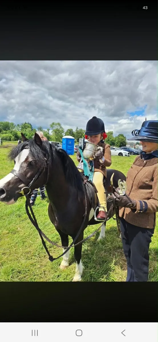 11 2hh 10yro Schoolmistress Section A - Image 3