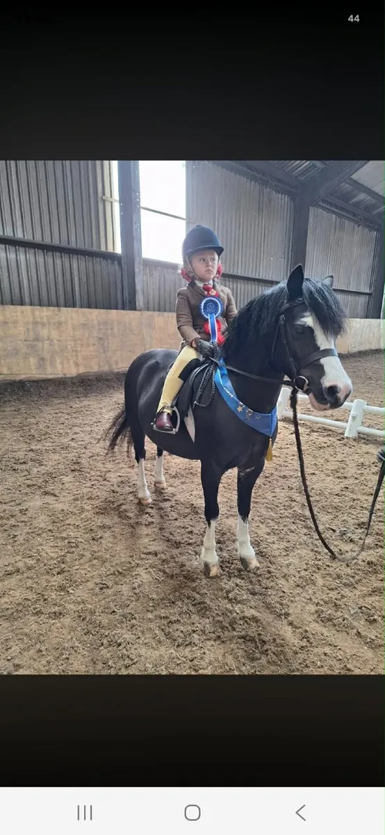 11 2hh 10yro Schoolmistress Section A - Image 4