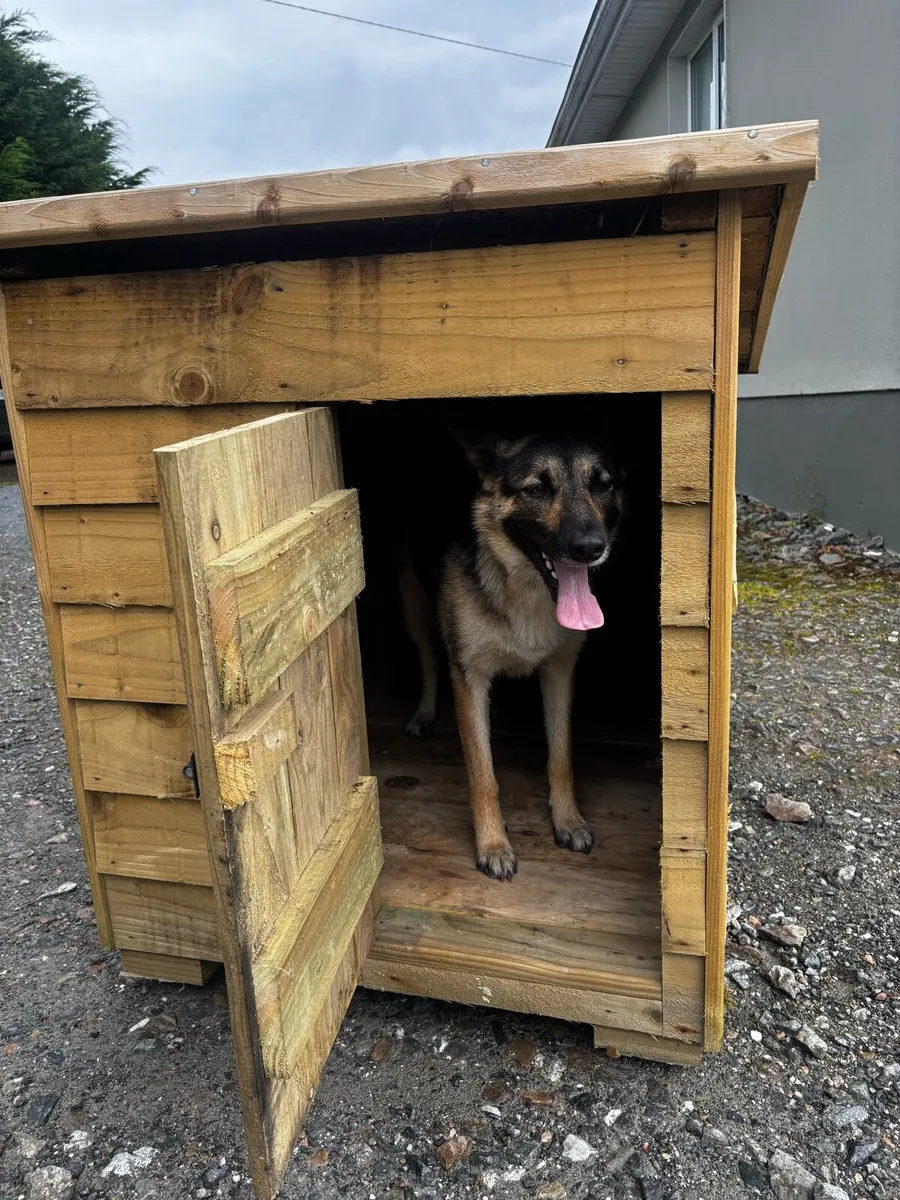 Kennel - Image 1