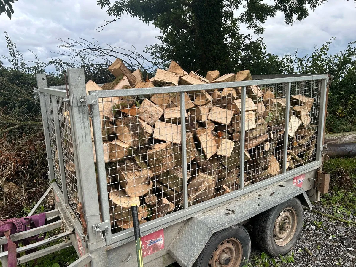 Firewood