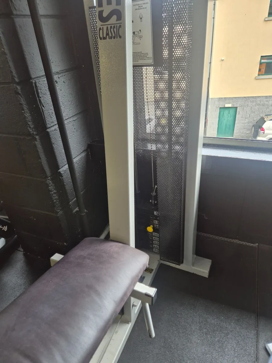 Lying Hammsting machine - Image 2