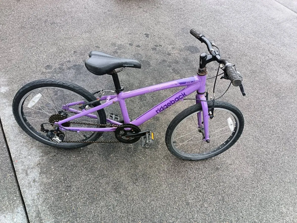 Ridgeback bike