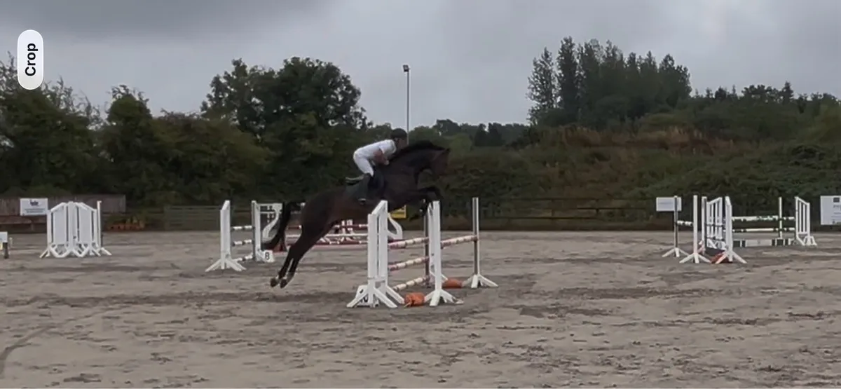 HHS cornet 7 year old all rounder - Image 1