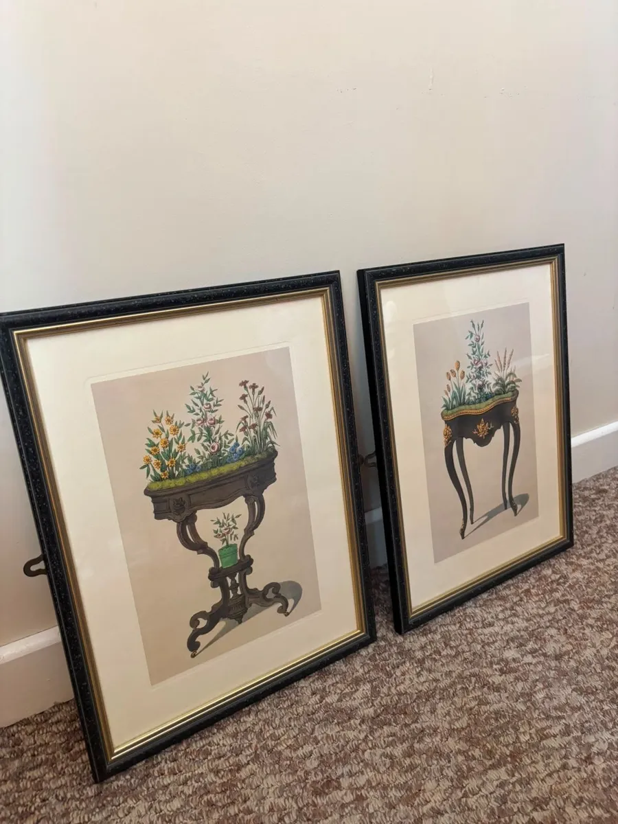 Pair of Framed Classic Botanical Prints - Image 1