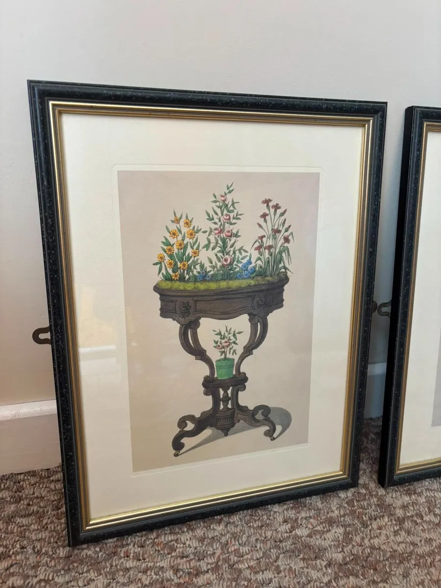 Pair of Framed Classic Botanical Prints - Image 2