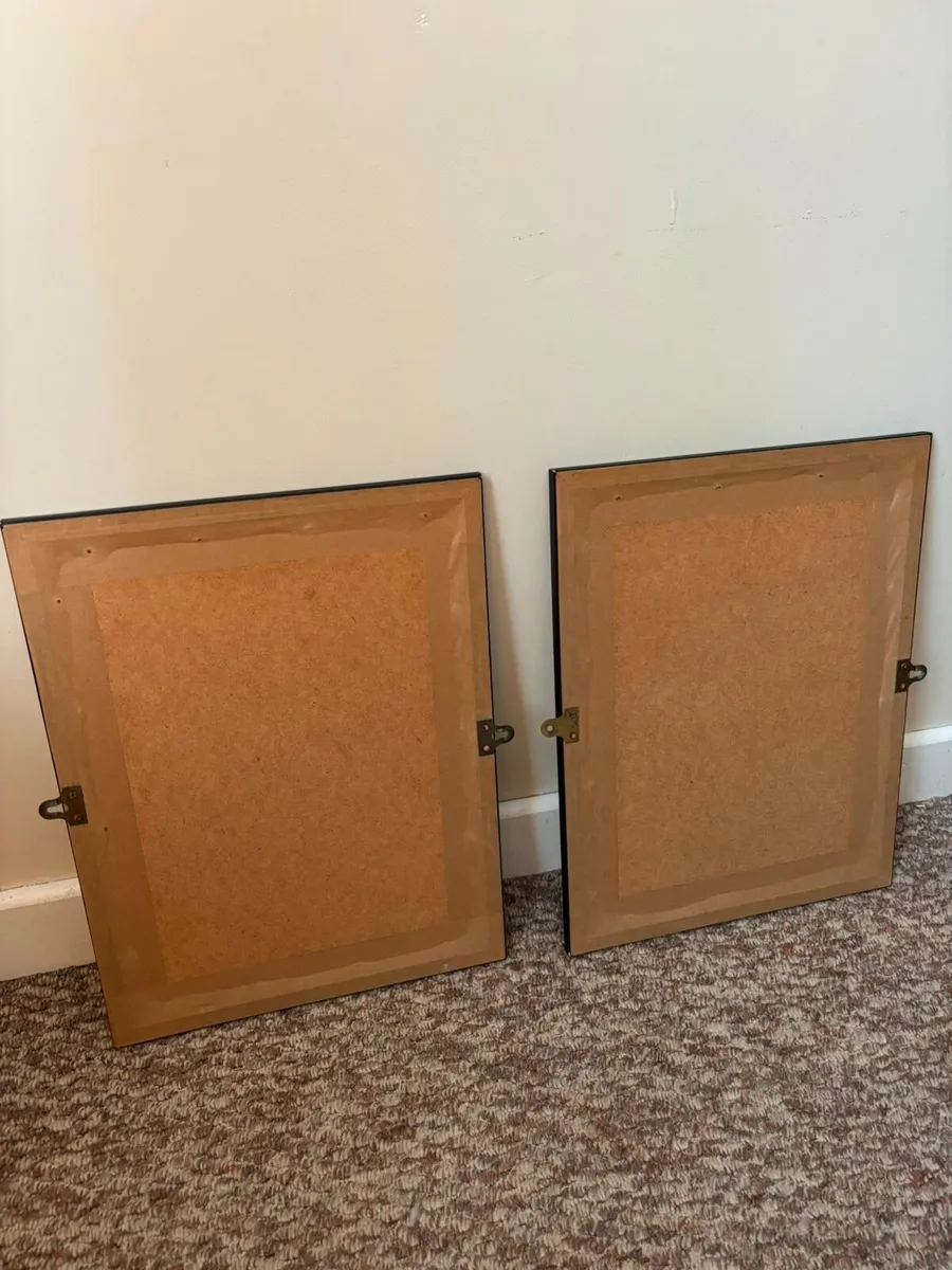 Pair of Framed Classic Botanical Prints - Image 4