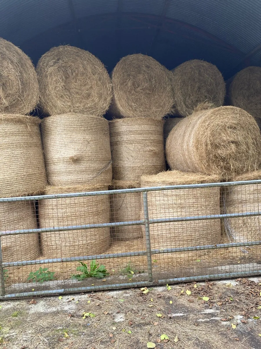 Hay
