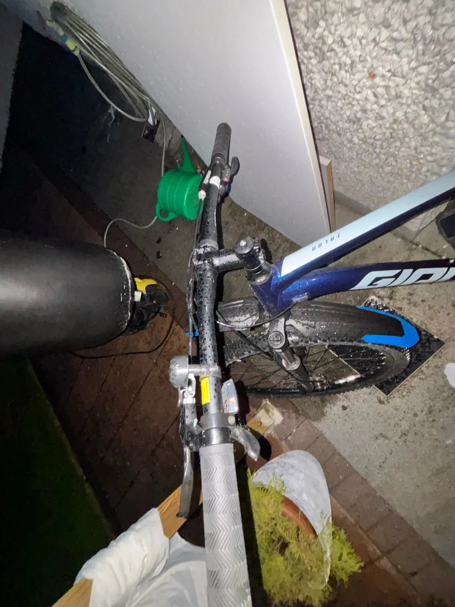 Bike - Image 3