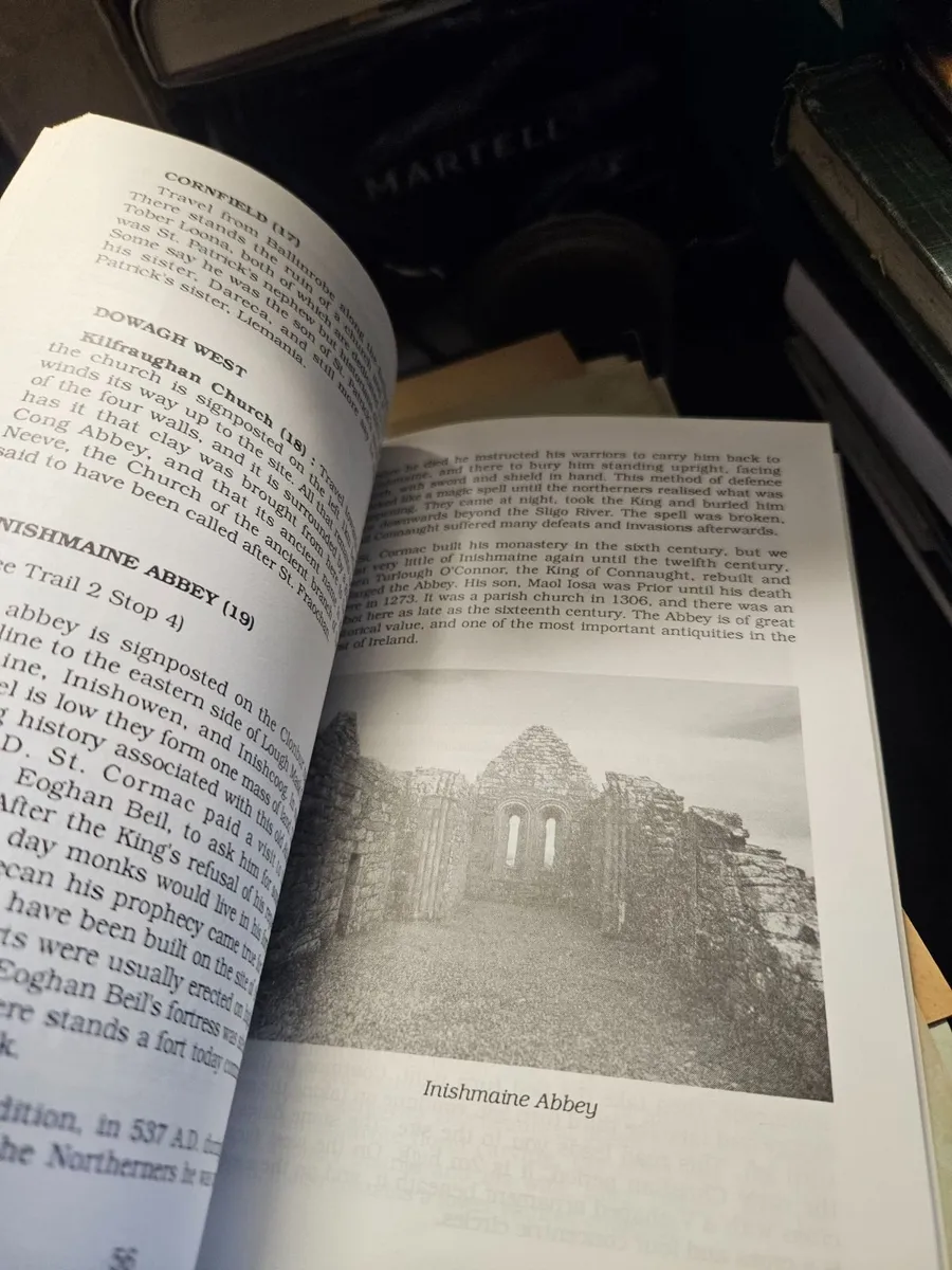 Book Treasures of South Mayo - Image 2