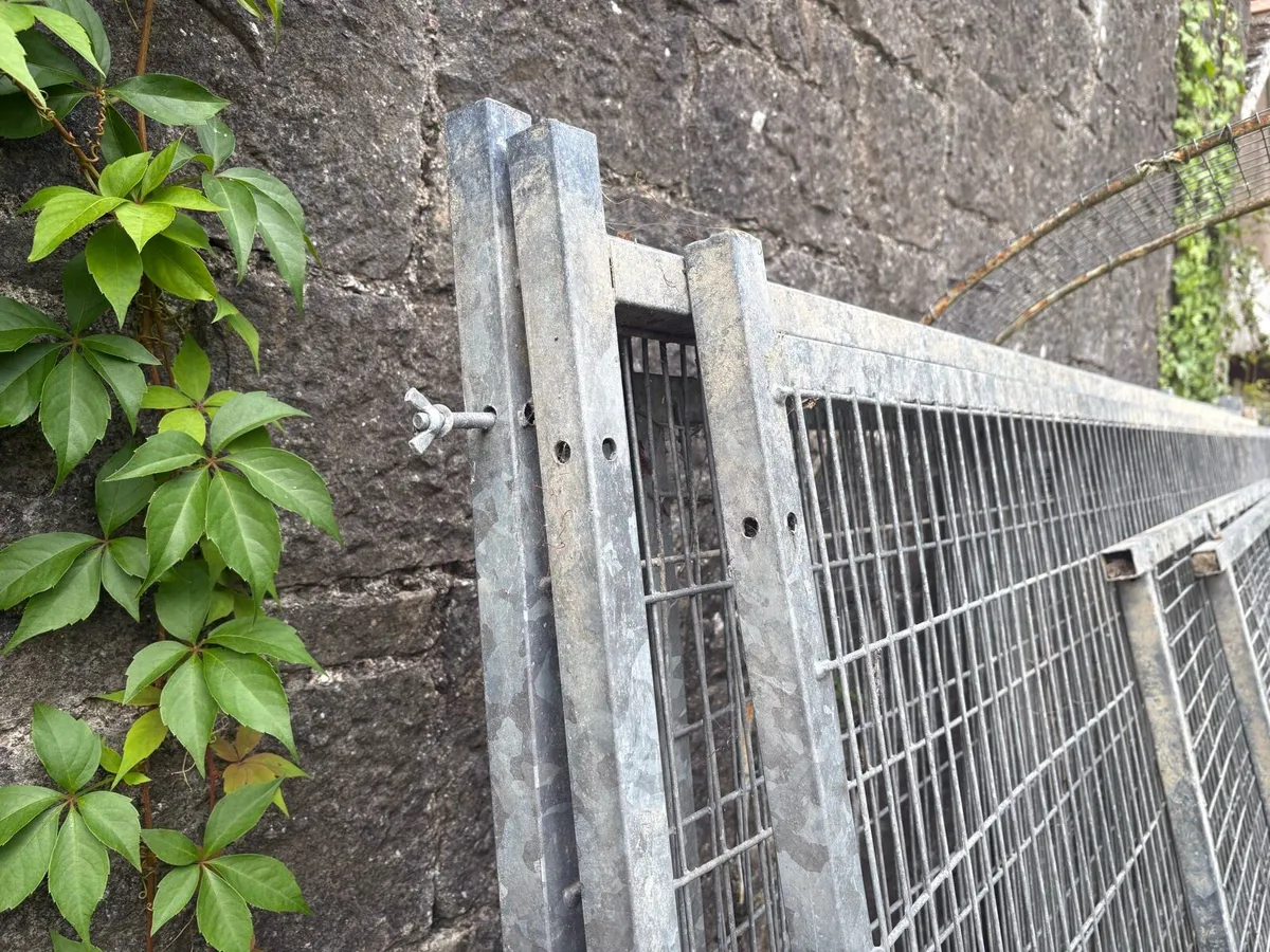 Galvanise Animal Compound - Image 3
