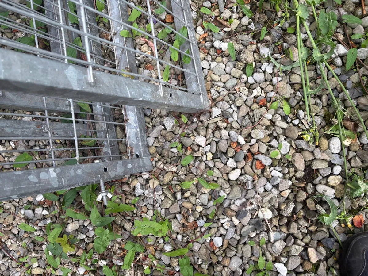 Galvanise Animal Compound - Image 4
